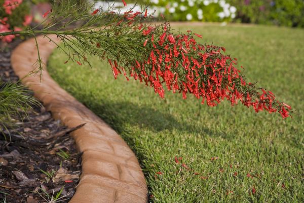 Brick Edging in Mechanicsville